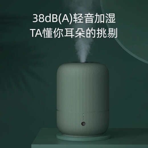 飞科（FLYCO）飞科加湿器家用静音办公室卧室内空气净化小型大喷雾大容量香薰机 飞科FH9207加湿器白色4L