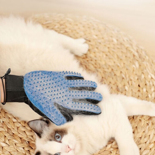 Cat gloves, cat comb to remove floating hair, dog hair comb, cat supplies, pet shedding, cat hair cleaner, hair removal, blue model, 1 right hand