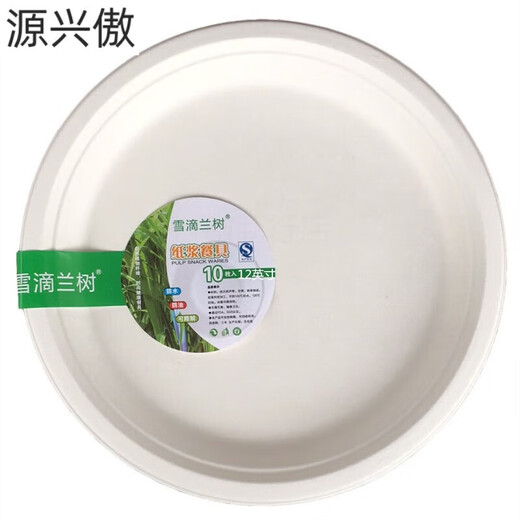 Chanqi disposable dinner plates 6 inches 7 inches 9 inches 10 inches 12 inches thickened paper plates 30cm kindergarten painting handmade diy 12 inches 30 cm paper plates 10 pieces