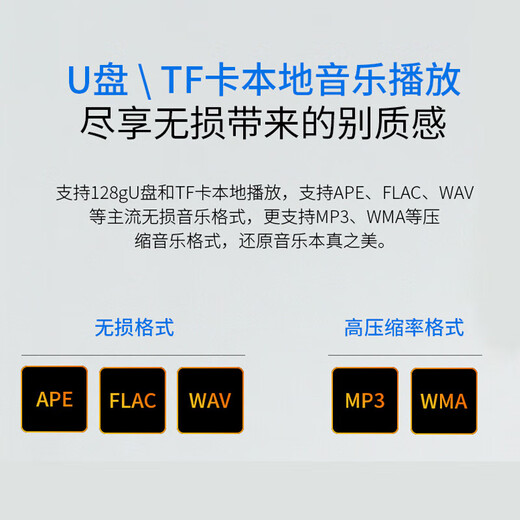 天逸（Winner）AT-2300PRO家用家庭影院全景声影K一体功放7.1声道KTV放大器多功能客厅功放机大功率放大器 AT-2300 PRO