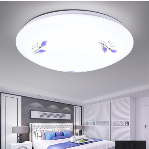 Micro LED ceiling lamp round remote control atmospheric living room lamp modern simple bedroom lamp balcony lamp restaurant lighting diameter 35 cm white light 36 watts camellia style