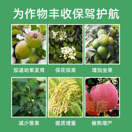 Guoguang Pesticide Naphthalene Acetate Plant Growth Regulator Flower Preservation and Fruit Preservation Medicine Prevent Fruit Falling Fruit Tree Flower and Fruit Treasure 100ml