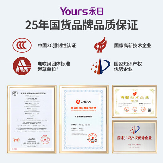 Yongri (yongri) household hair dryer 2100W professional high-power floral dormitory family high wind constant temperature hair dryer national subsidy Mother's Day gift