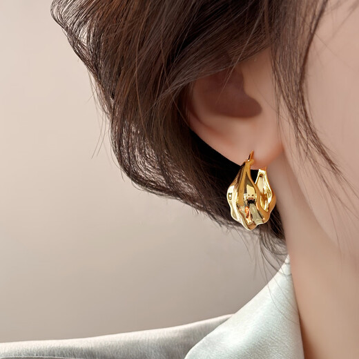 Yican Japanese and Korean metal retro earrings for women light luxury niche design high-end earrings 2025 new hot style temperament earrings Japanese and Korean metal retro earrings