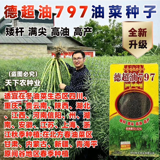 Стабильно-урожайный короткостебельный гибрид Dechao Oil 797 стабильноурожайный рапс короткостебельный морозостойкий и устойчивый к полеганию раннеспелый масло с сильным ароматом Короткостебельный высокомасличный гибрид Dechao Oil 797 10 000 зерен/