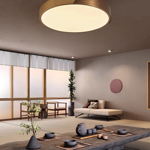 
Heling Quantong Villa Door Ceiling Light Outdoor Terrace Insect-proof Door Headlight Ultra-thin Door Headlight Lighting Entrance Door Light X3889/30CM/Three Color Adjustable