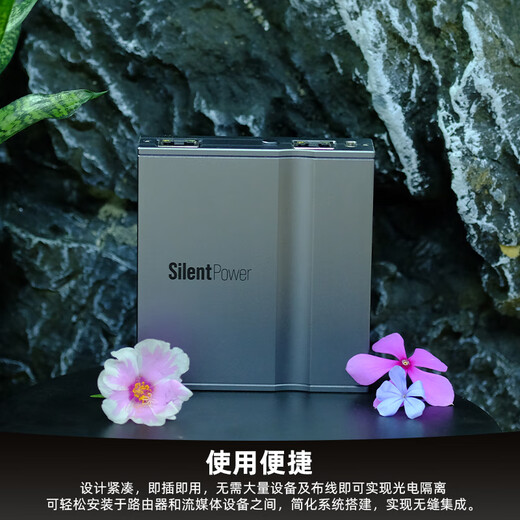 Silent Power iFi UK/LAN iSilencer network purification filter Network cable purifier supports Gigabit network to reduce noise Silent Power LAN iPurifier pro network filter