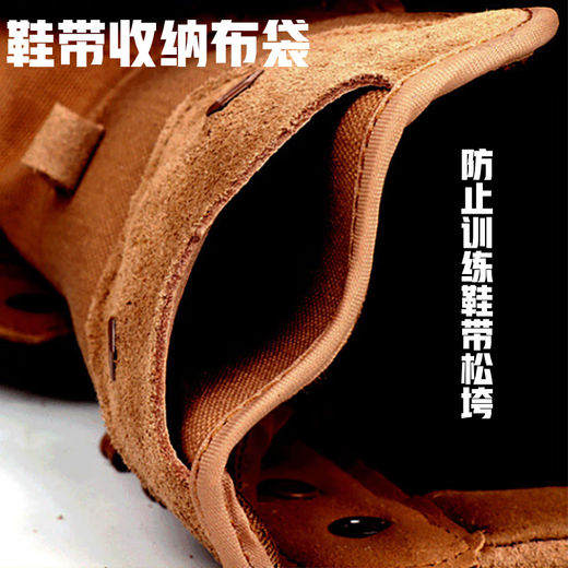 多威（Do-win）新式棕色作战训靴男侧拉链超轻透气户外作训靴牛皮耐磨作战靴 多威原厂棕色 42