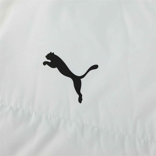彪马（PUMA）加厚隔冷保暖连帽长款羽绒服男女秋冬轻盈上衣外套685322 白-02 L (180/100A)