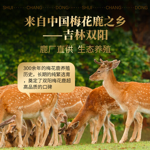 水长东梅花鹿茸片20克吉林双阳梅花鹿整枝切片泡酒料可磨粉鹿血含量充足