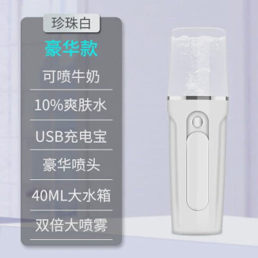 Handheld cold spray rechargeable girl's skin test steaming face mini portable moisturizing beauty white luxury model (water tank 40ML)