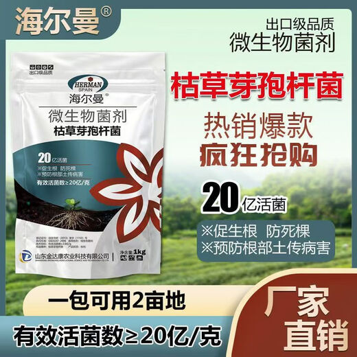 Guanlong Agricultural Chemical Bacillus subtilis compound microbial agent to prevent and control bacterial wilt, root rot, ginger plague and root rot 1000g*3 bags