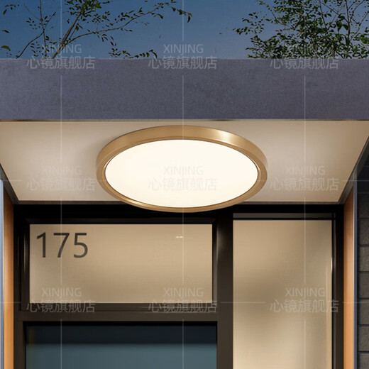 
Heart mirror full copper outdoor ceiling light villa gate ultra-thin front light outdoor aisle balcony lamp anti-mosquito courtyard light X3893-600/square