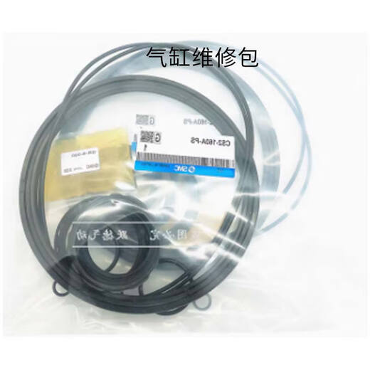 SMC cylinder repair kit CS2-160A-PS 1 piece