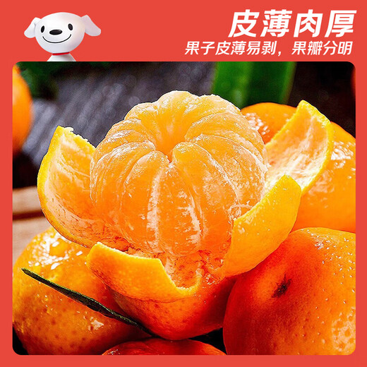 Jingdida Guangxi Tangtang Orange, net weight 4.5Jin Jin is equal to 0.5kg, single fruit 40mm+, straight from the fresh source