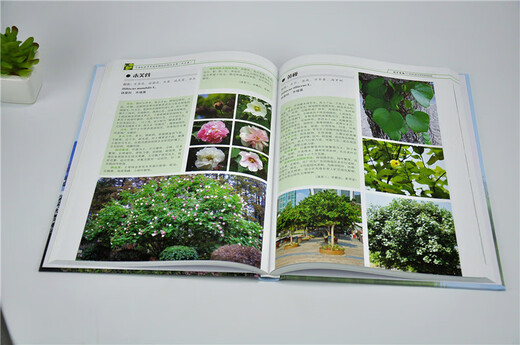 Common garden plants identification and application in South China 9740 Shen Haicen China Forestry