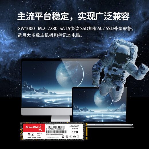 Great Wall 256GB SSD solid state drive M.2 interface SATA protocol reading speed 540MB/S GW1000 series