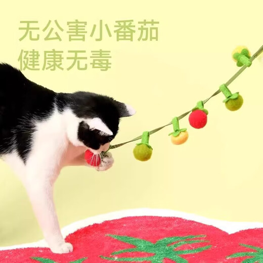 Guazhoumu cat toys, cat toys, cat sticks, self-stimulation and boredom relief artifacts, bite-resistant kittens and kittens, energy-consuming pet supplies, a bunch of 6 small tomatoes, with a bell + catnip, and a free sticky hook