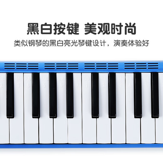 FEIFAN飞繁 口风琴37键小学生专用儿童成人专业演奏级吹管乐器 蓝色