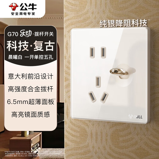 公牛（BULL）复古开关插座超薄亚克力拨杆一开单控五孔带开关G70E333A晨曦白