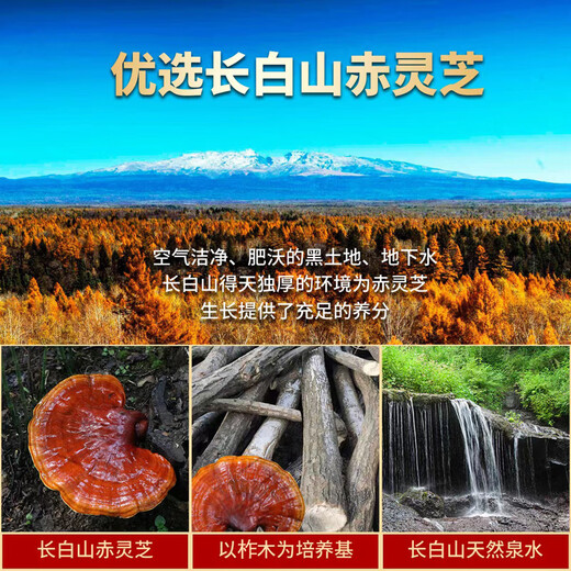 秦鼎泰破壁灵芝孢子粉长白山头道林芝袍子粉提高中老年体质增强免疫力 破壁灵芝孢子粉100克【买3送1 买5送2】