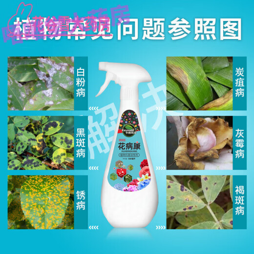 Huabikang spray flowers and green plants Jingdong pharmacy self-operated official store flag official Jingdong pharmacy self-operated flagship store ready-to-spray Huabikang 1 bottle