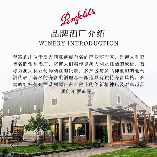 奔富（PENFOLDS）bin系列  澳洲干红酒葡萄酒 西拉赤霞珠 750ml 原瓶进口 聚餐送礼 奔富bin2干红葡萄酒750ml*6瓶