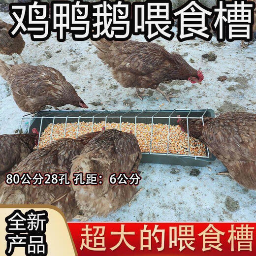 新款喂鸡食槽养鸡自动喂食器散养鸡喂鸡神器打不翻鸡鸭鹅牛筋盆 鸡鸭鹅60斤自动下料器50厘米18孔
