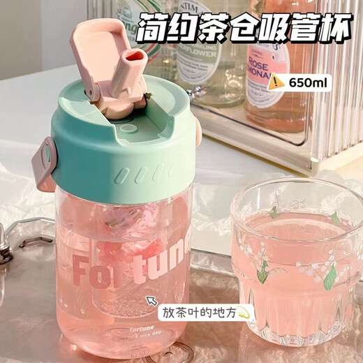 宜乐舒ppsu水杯成人泡茶杯女生高颜值大容量便携式运动杯夏季新款带茶隔 春色绿689ML【配茶隔提手】 1L 杯子+3D贴+杯刷+吸管刷