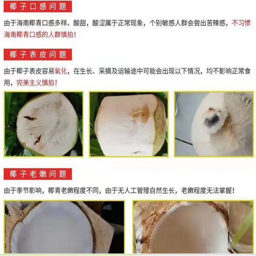Selected large fruits, freshly picked Hainan coconut, green coconut, peeled pregnant women, goat fruit, water coconut, 4 pack