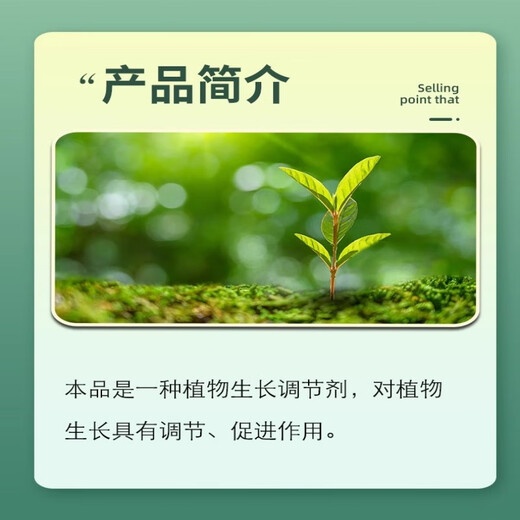 Aminobutanol plant growth regulator pesticide to prevent premature aging and enlarging fruit rhizomes flowers and fruit trees stress resistance 1000g