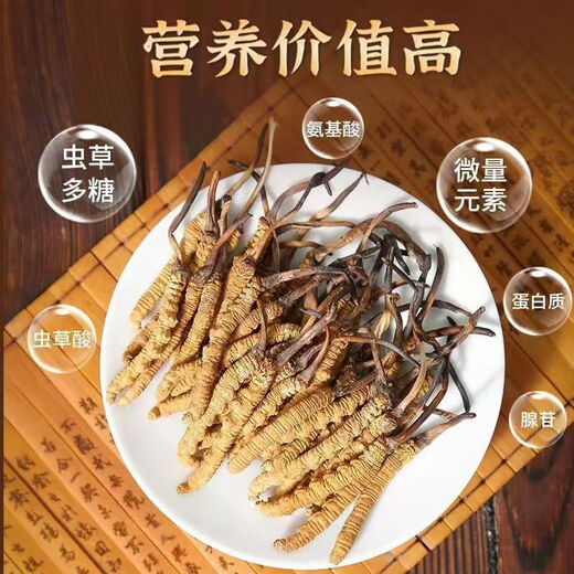 
Cordyceps sinensis, high-altitude cordyceps in Tibetan areas are affordable for self-use, holiday gifts, gift boxes, 2 sticks/gram (50 sticks gift boxes)
