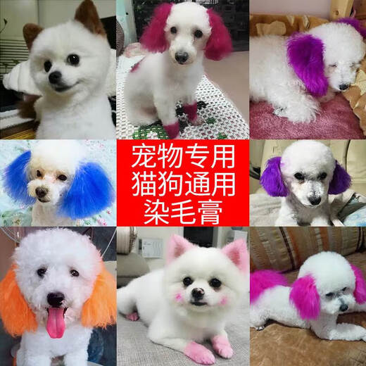 Dog hair dye, pet-specific VIP Bichon Teddy animal dye, cat dye, hair dye, Pomeranian long-lasting violet