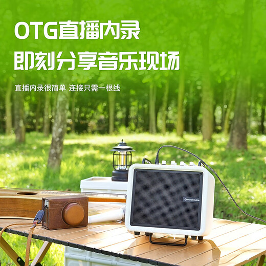 Music Knight H6 musical instrument guitar audio playing and singing electric blowpipe saxophone Bluetooth live broadcast karaoke speaker black + saxophone microphone