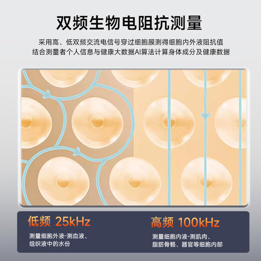 DORD 多雷德八电极智能体脂秤高精准体脂秤家用体重秤健身款体脂秤减肥专用体脂秤体重体脂一体秤充电式 至尊黑