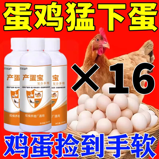 Laying hen feed, quail, duck and goose, general inducing egg, calcium supplement, nutritional granules, hen full-price feed, grains and grains, 16 bottles, picked up with soft hands