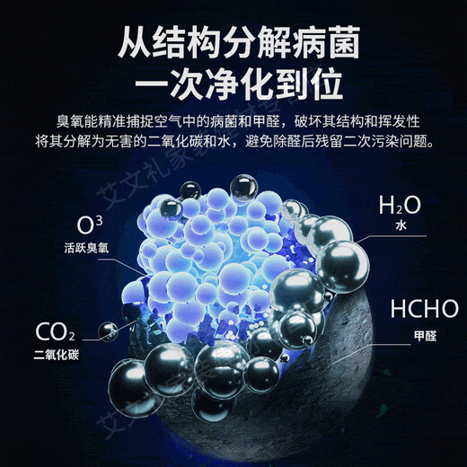 EVANLEY German ozone generator sterilizer household air purifier industrial food factory car sterilization and formaldehyde removal 12V car 10g (cigarette lighter interface)