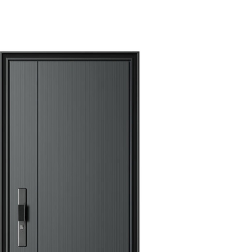 帝卡西DKX-阳光2050*960防盗门安全门入户门智能门轻奢户门