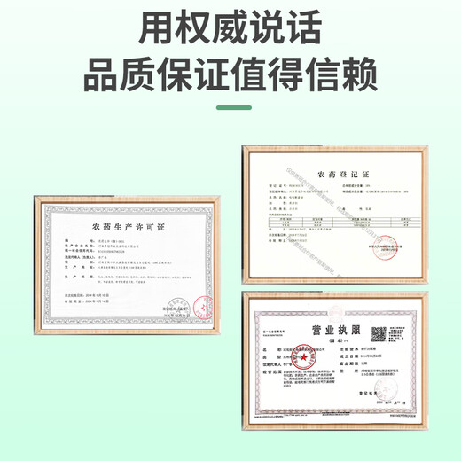 植轻松30%吡唑醚菌酯柑橘果树蔬菜草坪炭疽叶褐斑病绿色农药广谱杀菌剂