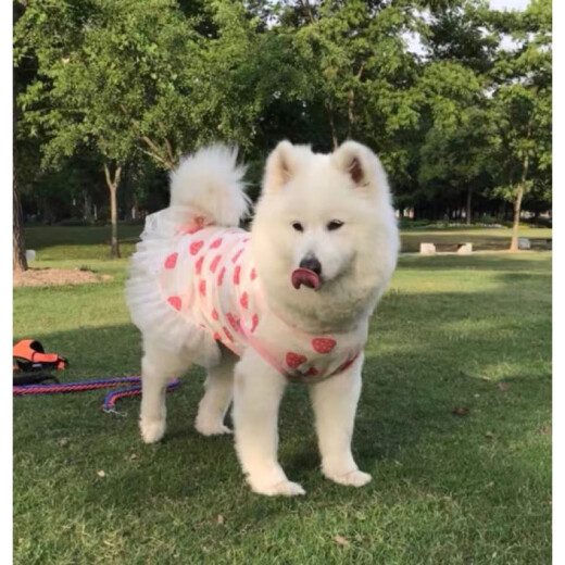 宠物大狗衣服中大型犬透气防掉毛防晒网纱萨摩金毛夏季薄款背心裙 粉色樱桃(不退不换) 110码(胸围9756-70斤左右)