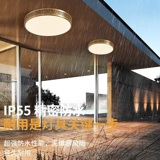 禾灵室外吸顶灯防虫防水进门灯中式别墅全铜超薄入户灯花园露台阳台灯 X3891/圆形30CM/三色可调