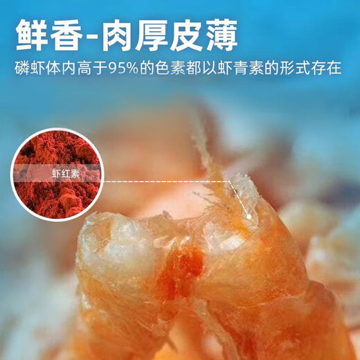 Three Little Bears Fat Bear Freeze-dried Cat Snacks Antarctic Krill Pet Enhancement Balanced Fertilizer Replenish Nutritional Calcium Kitten Snacks Carefully Selected Freeze-dried Antarctic Shrimp 80g (40g*2 barrels) 1 can