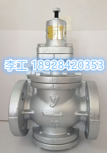 Imported steam pressure reducing valve Japan Yoshitake pressure reducing valve GP-1000 piston pressure reducing valve pressure regulating valve DN20