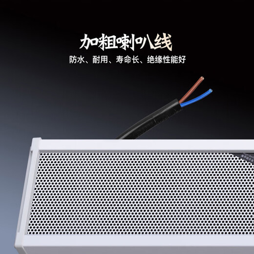 先科（SAST）40W户外无线蓝牙防水音柱室外挂墙壁挂式音响功放喇叭套装音箱学校操场会议广播店铺音乐 主机