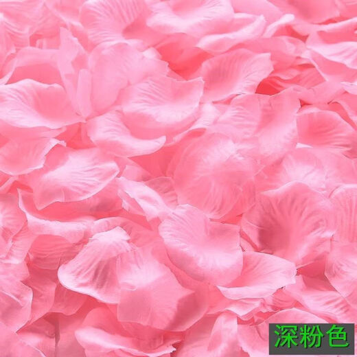 Wu Ji Rose Petals Wedding Hand Spreading Flowers Wedding Room Decoration Atmosphere Flowers Chinese Valentine's Day Confession Proposal Romantic Roses Dark Pink ~ 1000 Pieces