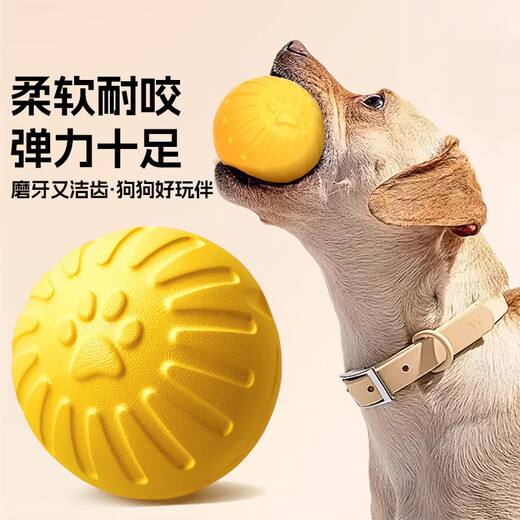 Hanhan Paradise Pet Dog Toy Bouncy Ball Bite-Resistant Dog Training Artifact Large, Medium and Small Border Collie Teddy Can't Bite Puppy Toy