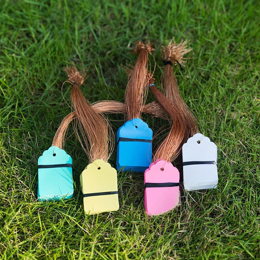 Arbor Day tag, plant tag, hanging tag, sapling, tree adoption tag, children's name information, plastic waterproof tag, 3.5*5cm powder, 100 pieces