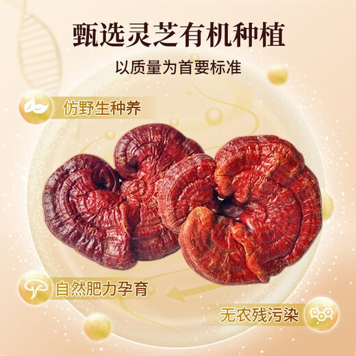 李良济【官方直售】破壁灵芝孢子粉/软胶囊 蓝帽认证营养品送礼有机种植 2盒装（1g*60袋/盒）