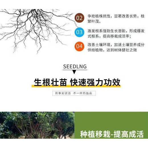 YWZR磷肥钙镁磷肥有机硅花用种菜果树调节土壤板结防裂果基肥通用型肥 钙镁磷肥 50斤整包