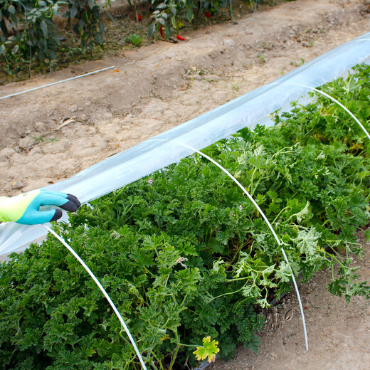 Shouhe vegetable shed plastic film and bracket mulch film agricultural vegetable shed shelf vegetable cold-proof arch shed film 2 meters wide * 5 meters long